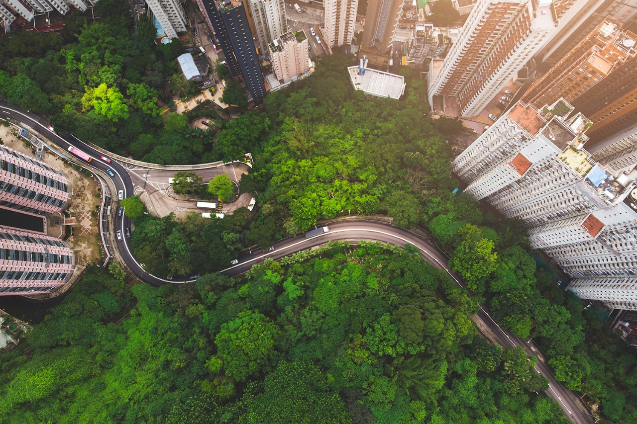 Foto de uma estrada no meio de árvores.